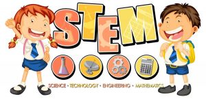 stem